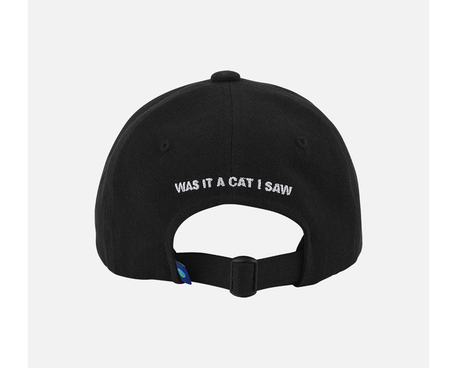 WICIW BASEBALL CAP #1